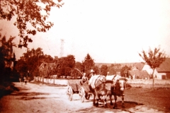 110